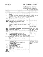 Giao án tuân 23: (tuần phụ) một số loại hoa