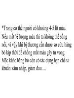 Sinh 8_Tiết 18_Thực hành sơ cứu cầm máu | THCS Phan Đình Giót