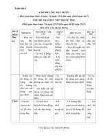 Giáo án tuần 5: Chủ đề tết trung thu-tuần chính