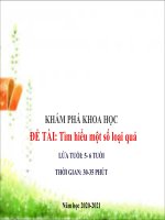 KPKH: Một số loại rau