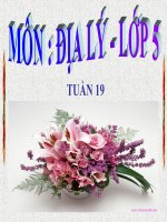 Địa lí 5 - Tuần 19: Châu Á | Tiểu học Dương Quang