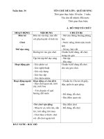 Tuần 34 ( Tuần phụ ) chủ đề: Quê Hương- Đất Nước- Bác Hồ