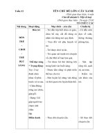 giáo án tuần 23 chủ đề Cây và môi trường sống nhánh một số loại hoa quả