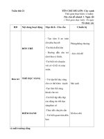 giao an tuan 21: Ngay tet que em