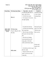 giáo án tuần 12 Nghề sản xuất