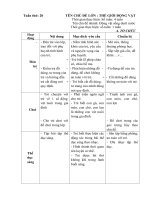 Kế hoạch giáo dục tuần 20 (Năm học 2017-2018) : Động vật sống dưới nước