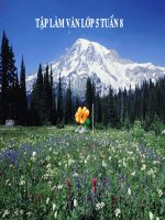 Tuần 8 TLV: Luyện tập tả cảnh (Dựng đoạn mở bài, kết bài)