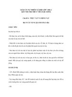 Giáo án TNXH lớp 1 từ bài 15   28   KNTT 