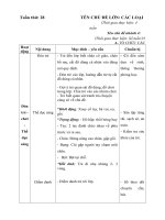 giáo án tuần 28 chủ đề Các loại PTGT Nhánh Phương tiện giao thông đường hàng không