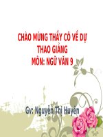 Văn 9 - Tiết 30 - Cảnh ngày xuân