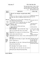 GIÁO ÁN PHỤ TUẦN 27- PTGT ĐƯỜNG HÀNG KHÔNG