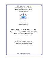 Chiết xuất collagen từ da cá basa (pangasius bocourti) và triển vọng ứng dụng bổ sung vào kem dưỡng da  