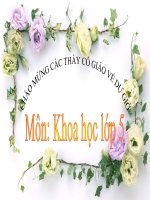 Khoa học 5 - Tuần 14- Bài: Gốm xây dựng, gạch , ngói | Tiểu học Dương Quang