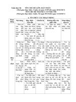 Giáo án tuần 6( tuần chính) - chủ đề Bản thân