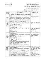 GIáo án :Tuần phụ 28 :PTGTđường Hàng Không :năm học 2019 - 2020