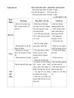 giáo án tuần 4 : Tết trung thu