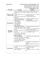 Kế hoạch phối hợp giáo dục tuần 20: Một số loại hoa