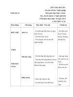 Giao an tuan 12 mot so nghe pho bien