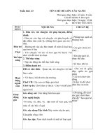 GIÁO ÁN PHỤ TUẦN 23- HOA QUẢ BÉ THÍCH