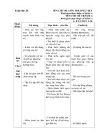 Giáo án tuần 28 ( tuần chính) Chủ đề : PT giao thông