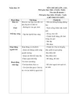 Giáo án phụ tuần 10