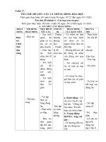 tuan 17 mot so rau cu qua