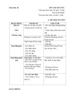 Giáo án tuần 28 ( tuần Phụ) Chủ đề : Giao thông