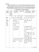 tuan 12 cong viec cua co bac trong nhom trẻ