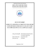 Nghiên cứu ảnh hưởng của chiết xuất với sự hỗ trợ vi sóng đến một số tính chất của gelatin và hiệu suất chiết gelatin từ vảy cá chẽm (lates calcarifer)  