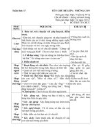 giao án tuần 17: đông vat nuôi trong gia đình