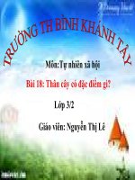 Giáo án điện tử - Môn TNXH - Lớp 3