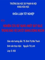 slide thuyết trình bảo vệ kim loại bằng catot   nghiên cứu sử dụng anôt sắt silic trong bảo vệ catôt bằng dòng ngoài FULL 