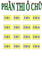 Tro choi o chu ngay 2011 (2)