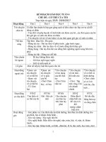 KẾ HOẠCH GIÁO dục TUẦN 4 cơ thể 