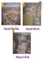TN&XH lớp 3 - Tuần 16: Làng quê và đô thị | Tiểu học Khương Mai