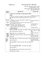 Giao an phu- tuan 23- tết và mùa xuân- 2017-2018