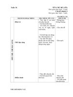 tuần 18. chim và côn trùng