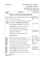 giáo án phụ tuần 18 nhánh 2