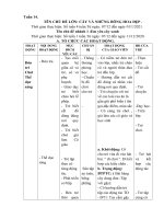 tuan 14 em yeu cay xanh