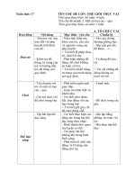 Kế hoạch giáo dục tuần 17: Một số loại rau - quả (Năm học 2019 - 2020)