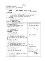 Giáo án âm nhạc tuần 8