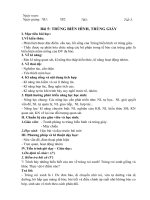 Bài 5: TRÙNG BIẾN HÌNH TRÙNG GIÀY