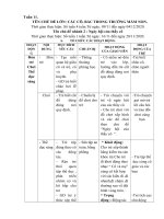 tuan 11 ngay hoi cua thay co