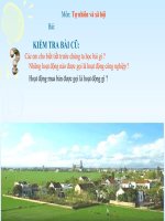 TN&XH lớp 3 - Tuần 16: Làng quê và đô thị (Tiết 2) | Tiểu học Khương Mai