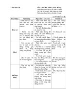 Kế hoạch giáo dục tuần 10: 