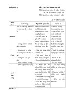 Giáo án tuần 13 ( tuần chính) Chủ đề : Nghề nghiệp