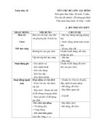 Kế hoạch phối hợp tuần 10 (Năm học 2017-2018) Đồ dùng gia đình