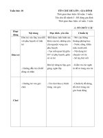 giáo án tuần 10 Chủ đề: Gia đình