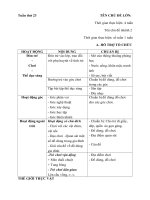 Kế hoạch Phối hợp tuần 23 (Năm học 2017- 2018 ) tết và mùa xuân