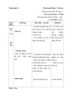 Giáo án tuần 1- Lễ hội mùa thu